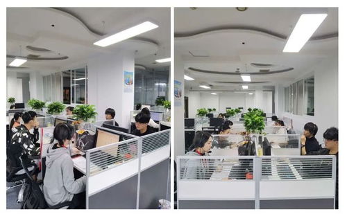 成都市成華區(qū)第七次全國(guó)人口普查咨詢熱線正式開(kāi)通，為您提供便捷信息咨詢服務(wù)